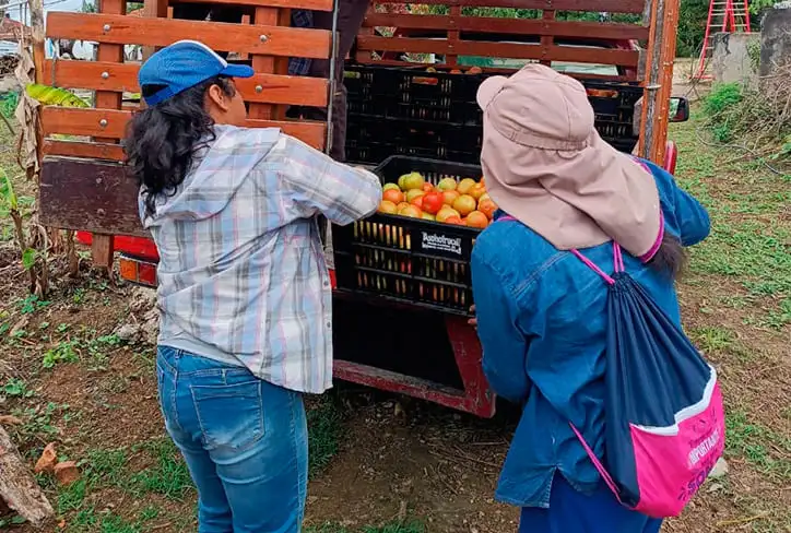 Feria agropecuaria Fundacreco